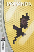 Wakanda #1 (Of 5) Reilly Windowshades Variant (2022)