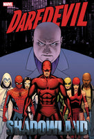 Daredevil Shadowland Omnibus Hardcover Cassaday New Printing Cover