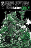 Teenage Mutant Ninja Turtles: Black, White, And Green #1 Variant B (Stokoe)