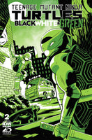 Teenage Mutant Ninja Turtles: Black, White, And Green #2 Variant Ri (10) (Boss F Oil Variant)