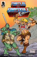 Masters Of Universe Teenage Mutant Ninja Turtles Turtles Of Grayskull #1 Cover B Sakai