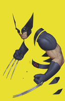 Wolverine #1 John Tyler Christopher Negative Space Variant