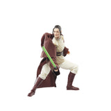 Star Wars Black Series Acolyte 6in Jedi Master Indara Action Figure