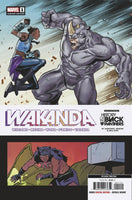 Wakanda #1 (Of 5) 2nd Print Medina Variant (2022)